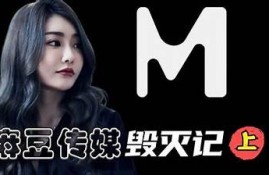 麻豆制作传媒下载：完整解析与安全使用指南