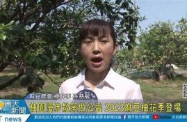 2023年麻豆京东活动解析：传媒在线新机遇与难关