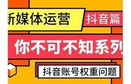 优化抖阴账号信息，提高百度收录与排名技巧分享