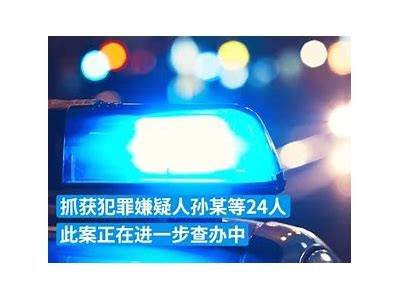 麻豆传媒最新动态与内容揭秘，带你深入了解这一行业巨头
