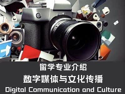 麻豆创传媒：探索数字创意与内容营销的无限可能