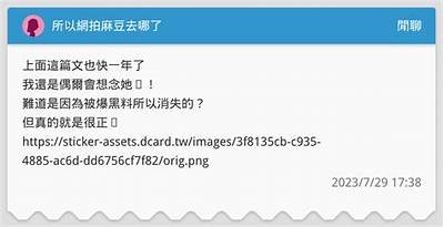 麻豆传媒车牌全解析：最新最全车牌汇总与使用指南